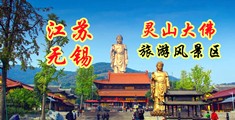 大吊艹我江苏无锡灵山大佛旅游风景区